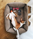 Load image into Gallery viewer, Corduroy Dog Bed Dreamer - Southlake Paws
