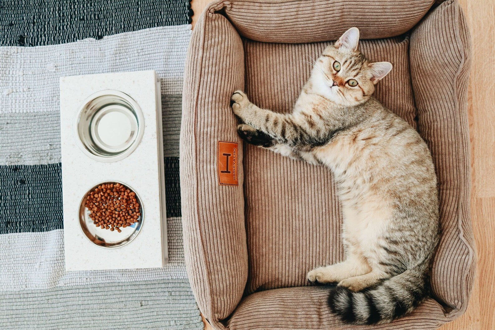 Corduroy Cat Bed Dreamer - Southlake Paws