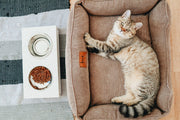 Corduroy Cat Bed Dreamer