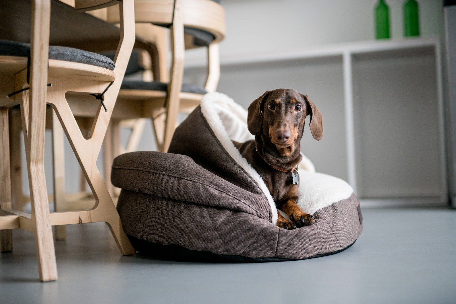 Cover Dog Bed - Southlake Paws