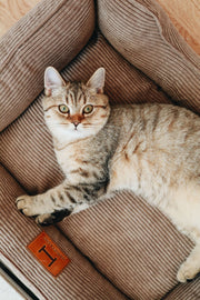 Corduroy Cat Bed Dreamer