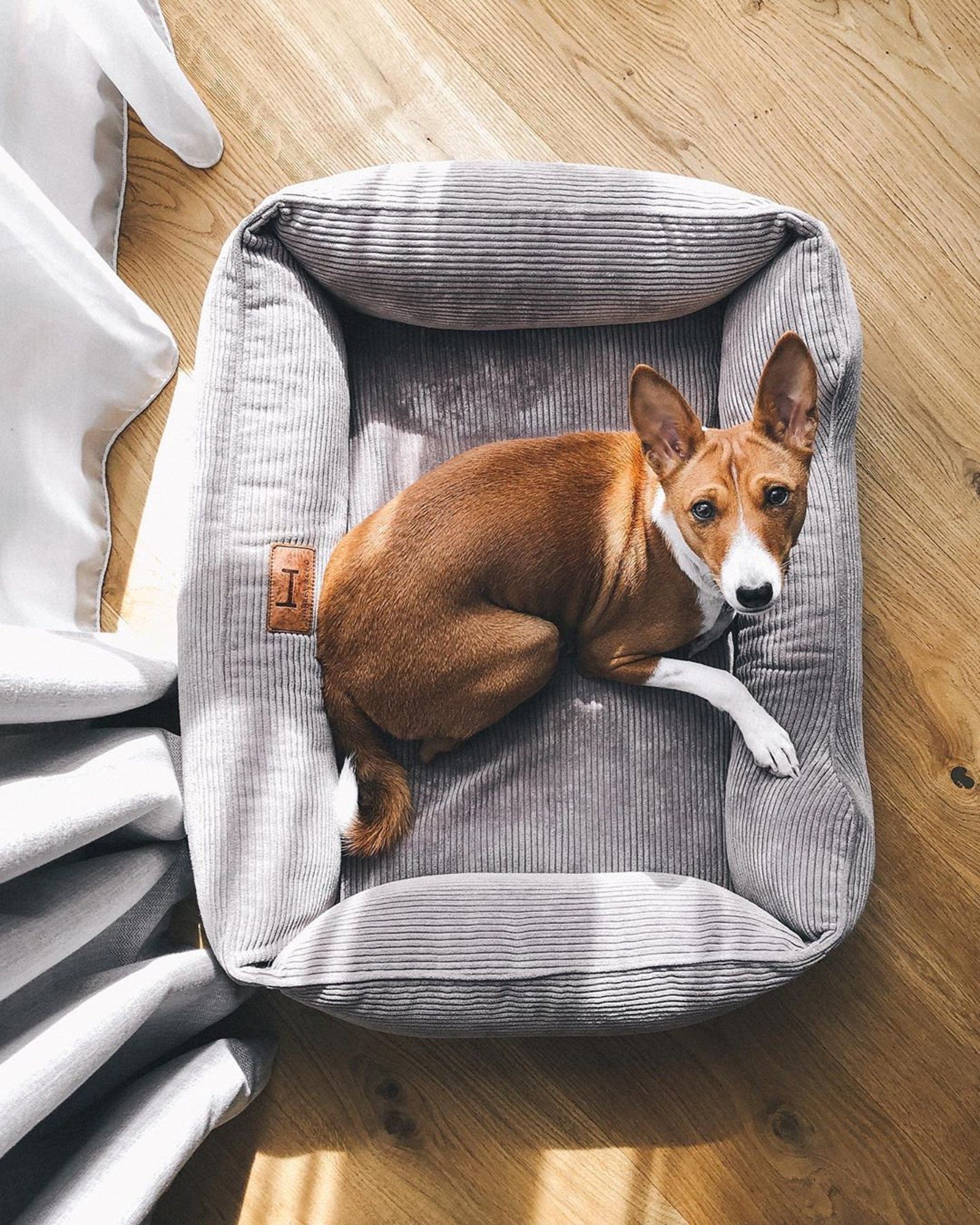 Corduroy Dog Bed Dreamer - Southlake Paws
