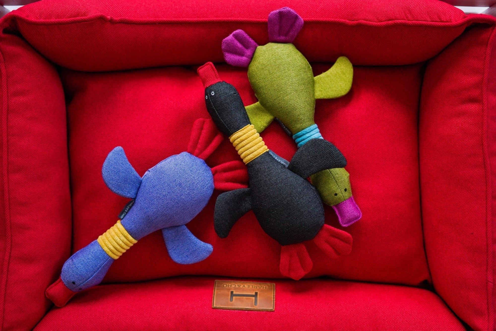 Pet Toy - Duck Jose - Southlake Paws