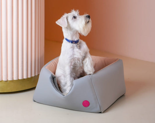 Cabrio Convertible Small Dog Bed - Southlake Paws
