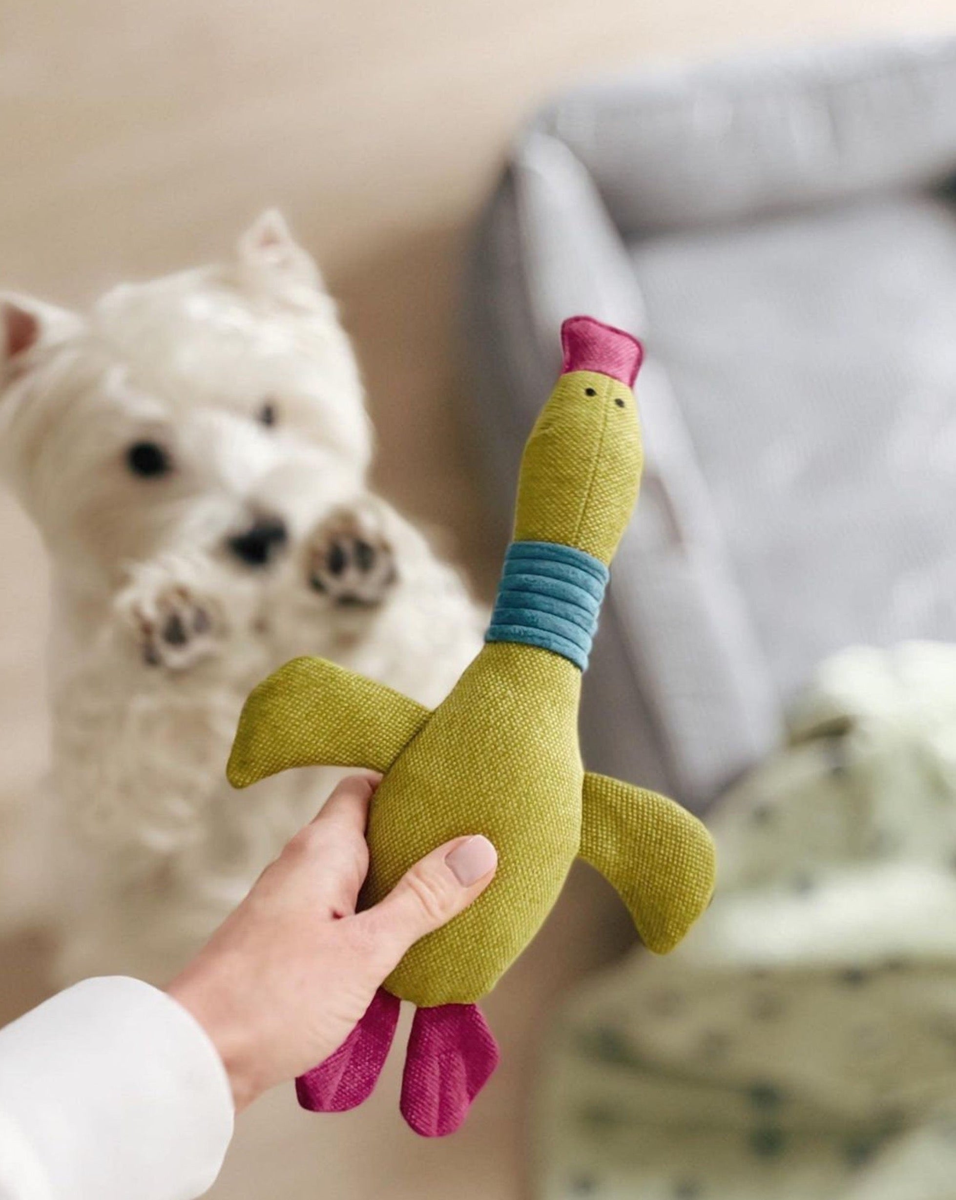 Pet Toy - Duck Jose - Southlake Paws