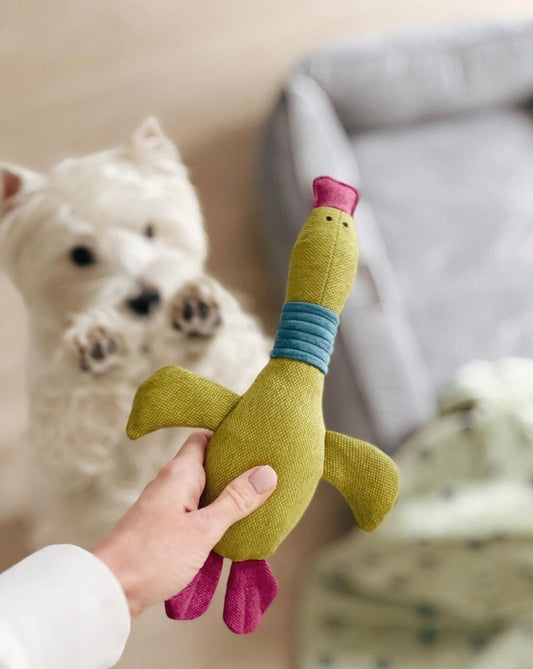 Pet Toy - Duck Jose - Southlake Paws