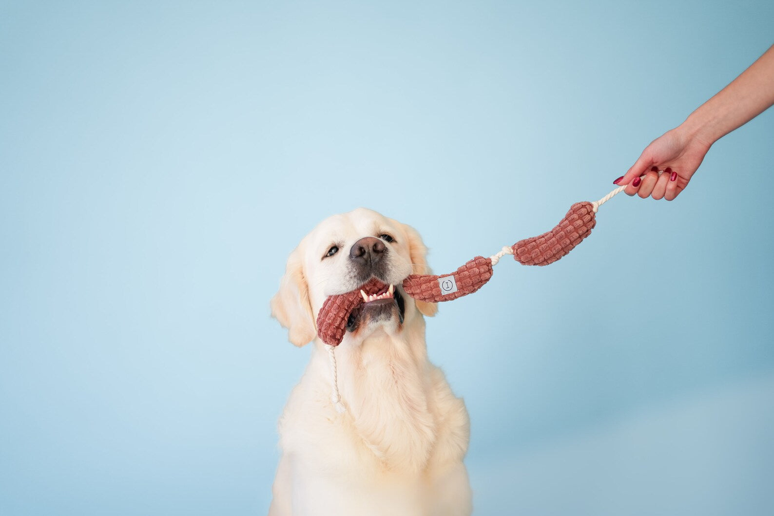 Pet Toy - Long Sausages - Southlake Paws