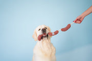 Pet Toy - Long Sausages
