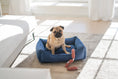 Load image into Gallery viewer, Pet Toy - Long Sausages - Southlake Paws

