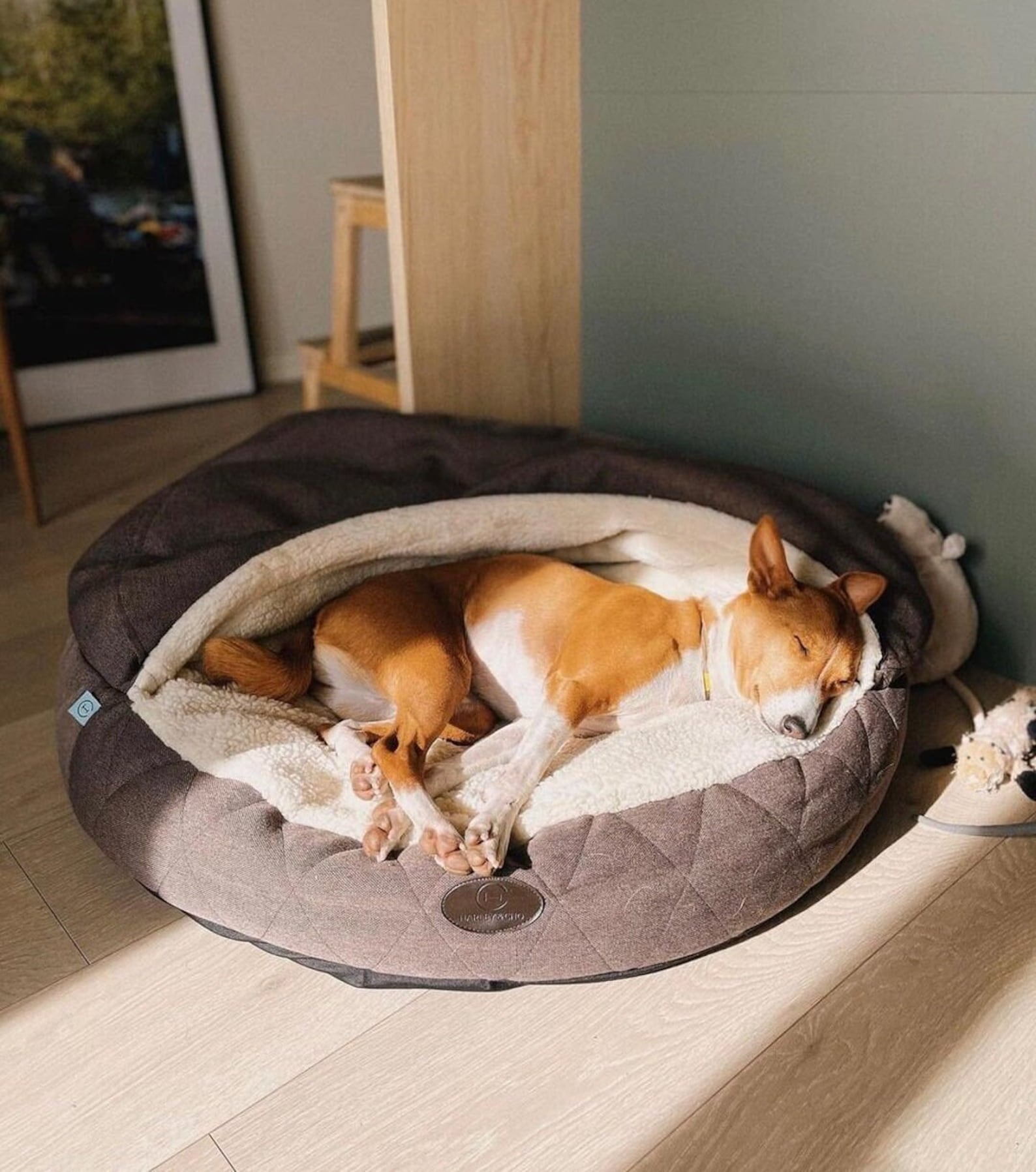 Cover Dog Bed - Southlake Paws