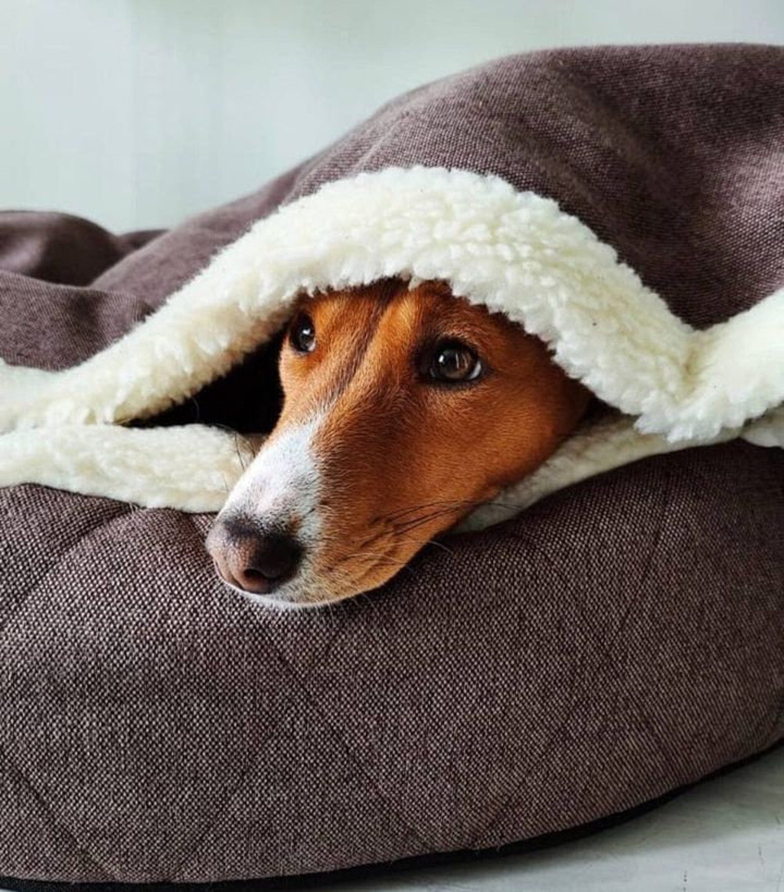 Cover Dog Bed - Southlake Paws