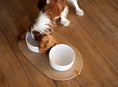 Load image into Gallery viewer, Bowl mat flair.pet
