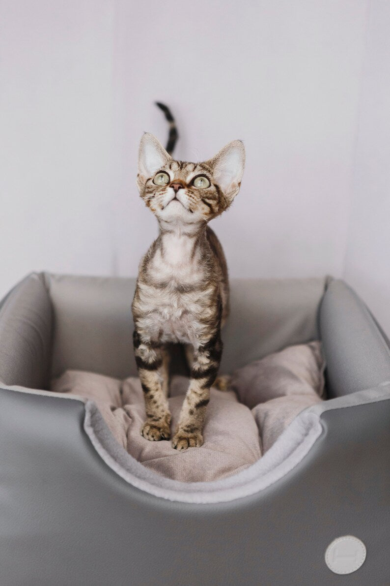 Cabrio Convertible Cat Bed - Southlake Paws