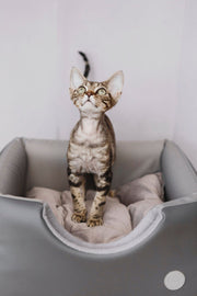 Cabrio Convertible Cat Bed