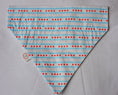 Load image into Gallery viewer, Chicago Flag Bandana
