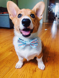 Load image into Gallery viewer, Chicago Flag Bow Tie
