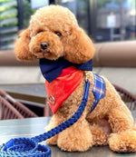 Dog/Cat Harness Blue/Red- Check