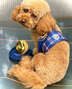 Dog/Cat Harness Blue/Red- Check