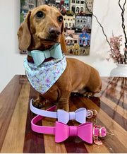 Leather Bow Collar/Lead - Lilac