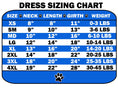 Load image into Gallery viewer, Pet Dress "Free Spirit"
