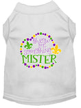 Load image into Gallery viewer, Pet Dog & Cat Shirt Screen Printed, "Throw Me Something Mister"
