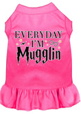 Load image into Gallery viewer, Pet Dress "Everyday I'm Mugglin"
