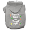 Load image into Gallery viewer, Pet, Dog and Cat Hoodie Screen Printed, "Pumpkin Kisses & Harvest Wishes"
