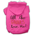 Load image into Gallery viewer, Halloween Pet Hoodie "All The Ghouls Love Me"
