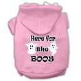 Load image into Gallery viewer, Halloween Pet Hoodie "Here For The Boos"
