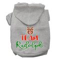 Load image into Gallery viewer, Christmas Pet Hoodie Screen Printed, "Team Rudolph"
