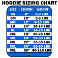 Load image into Gallery viewer, Pet Hoodie "Skull Wings"
