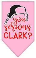 Load image into Gallery viewer, Christmas Pet and Dog Bandana Screen Printed, "You Serious Clark?"
