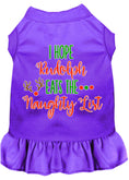 Load image into Gallery viewer, Christmas Pet Dress Screen Printed, "I Hope Rudolph Eats The Naughty List"
