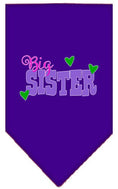 Load image into Gallery viewer, Pet and Dog Bandana Screen Printed, "Big Sister"
