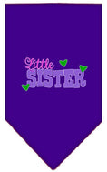 Load image into Gallery viewer, Pet and Dog Bandana Screen Printed, "Little Sister"
