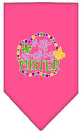 Load image into Gallery viewer, Pet and Dog Bandana Screen Printed, "Throw Me Something Mister"
