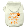 Load image into Gallery viewer, Halloween Pet Hoodie "Cutest Pumpkin In The Patch"
