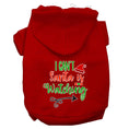Load image into Gallery viewer, Christmas Pet Hoodie "I Can't, Santa Is Watching"
