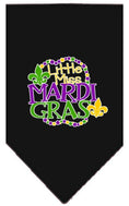 Load image into Gallery viewer, Pet and Dog Bandana Screen Printed, "Little Miss Mardi Gras"
