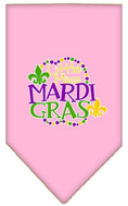 Load image into Gallery viewer, Pet and Dog Bandana Screen Printed, "Little Miss Mardi Gras"
