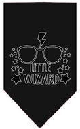 Load image into Gallery viewer, Pet and Dog Bandana Screen Printed, "Little Wizard"
