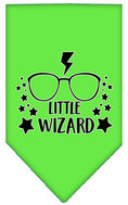 Load image into Gallery viewer, Pet and Dog Bandana Screen Printed, "Little Wizard"
