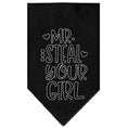 Load image into Gallery viewer, Pet and Dog Bandana Screen Printed, "Mr. Steal Your Girl"
