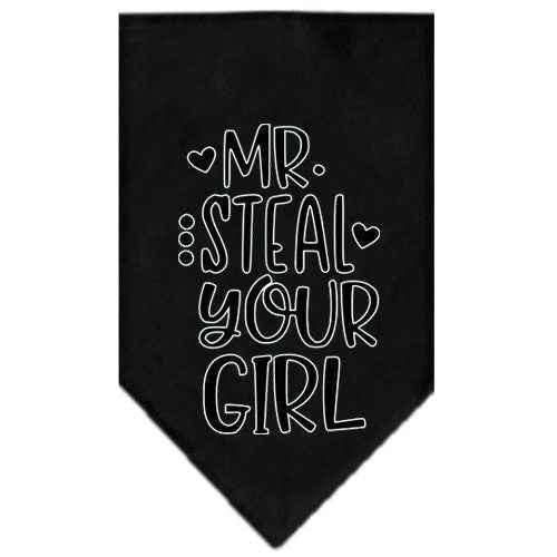 Pet and Dog Bandana Screen Printed, "Mr. Steal Your Girl"