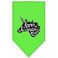 Load image into Gallery viewer, Pet and Dog Bandana Screen Printed, "Born To Be A Unicorn"
