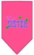Load image into Gallery viewer, Pet and Dog Bandana Screen Printed, "Big Sister"

