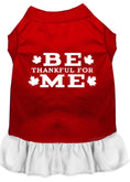 Load image into Gallery viewer, Pet Dress "Be Thankful For Me"
