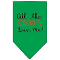 Load image into Gallery viewer, Halloween Pet and Dog Bandana Screen Printed, "All The Ghouls Love Me"
