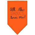 Load image into Gallery viewer, Halloween Pet and Dog Bandana Screen Printed, "All The Ghouls Love Me"
