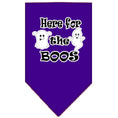 Load image into Gallery viewer, Halloween Pet and Dog Bandana Screen Printed, "Here For The Boos"
